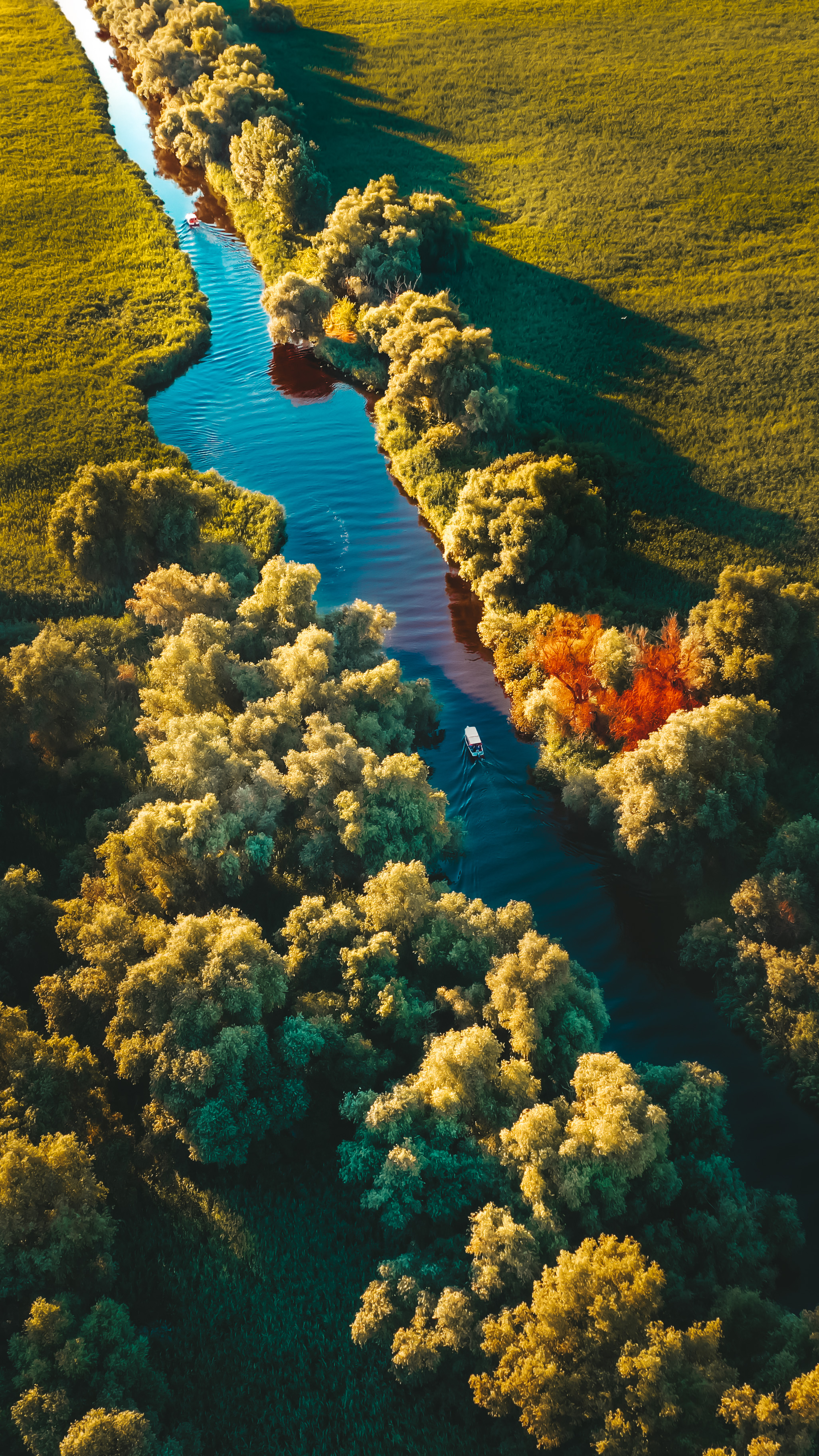 Small boat floating on the water from Danube Delta in the middle of natur, green surroundings.